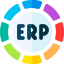 ERP Automation