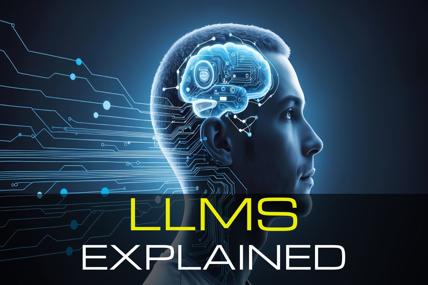 LLMs Explained